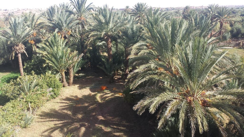 Cinema Riad Tajda 外观 照片