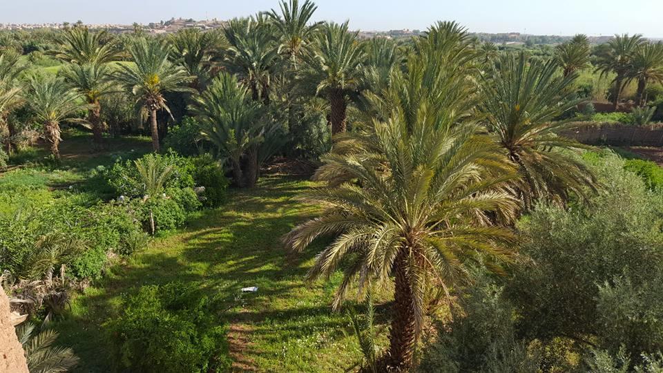 Cinema Riad Tajda 外观 照片